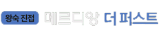 �޴���ư